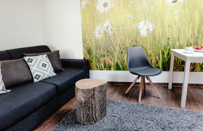 Apartments Zelny Trh III - Foto 24