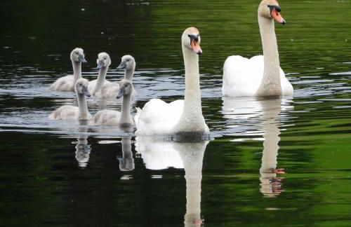 Charming Home on Esopus Creek - Foto 51