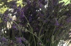 ElleCi Casa Vacanze - Photo 61