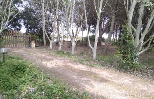 Sardinia Ovest 2 - Foto 26