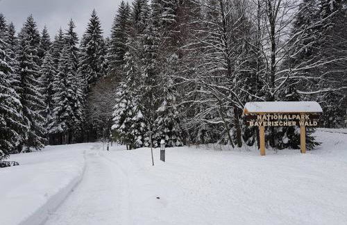 Ferienwohnung zur Steinklamm im bayrischen Wald - Foto 48