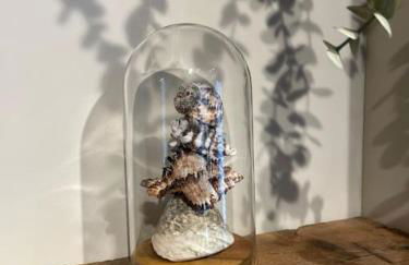 Seaside Modern Apartment - Foto 2