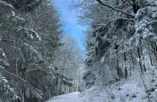 Dicker Stein - Foto 37