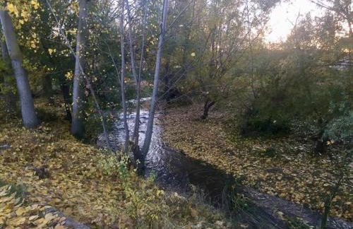 El Carro del Abuelo - Foto 69