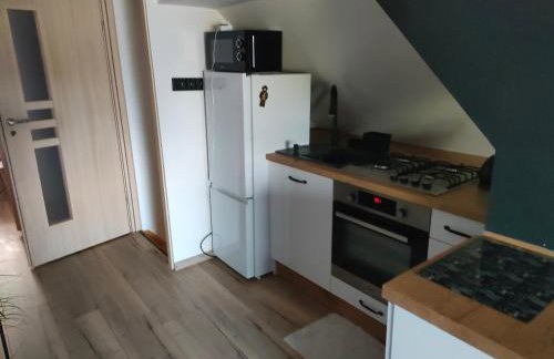 Apartament na poddaszu Pola - Foto 9