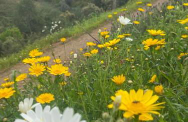 Portugals Infinity Eco Suite Resort - Foto 73