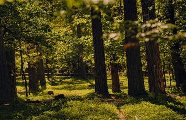 Green View Tornow - Foto 50