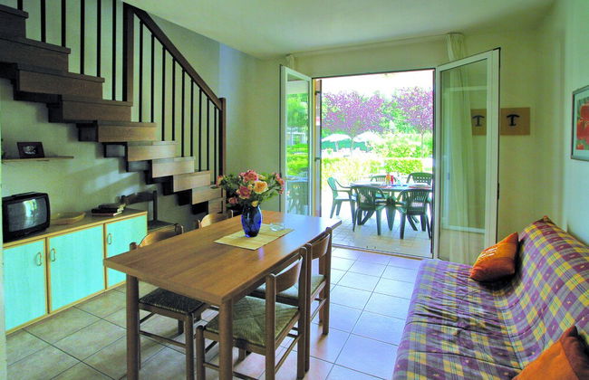 Calycanthus - Foto 26