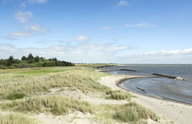 "Lottje" - 300m from the sea - Foto 3