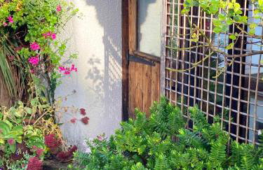 The Nest - Thatched seaside country cottage for two - Foto 23