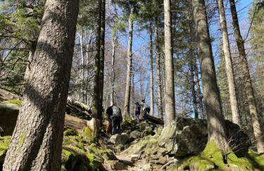 Ferienwohnung Menz - Alte Mühle - mit Milseburgblick und Gartenpool - Foto 3
