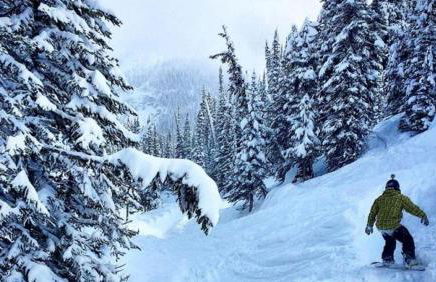 The Elderberry Retreat - It's a Dream Location! - Foto 80