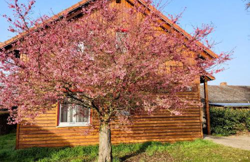 Ferienwohnung Sartorius - Foto 10