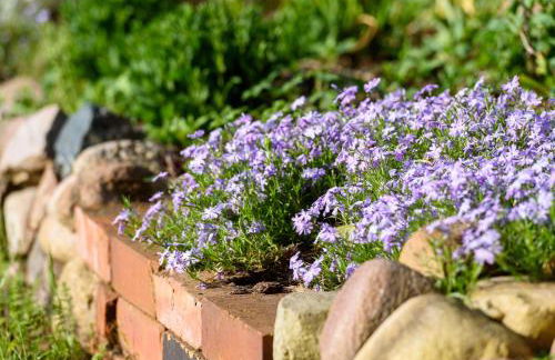 Alte Dorfschule im Spreewald - Foto 63