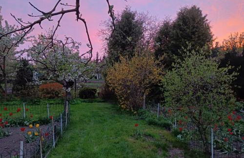 Na Przypiecku - Foto 15