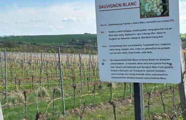 Gemütliche Ferienwohnung - Studio - an der Obernbreiter Kanzel - 50 m bis zu den Weinbergen - Foto 16