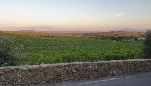 Casa Guardiavigna in Chianti - Foto 2