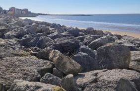 Coastal Retreat Lodge - Foto 3