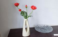 Berlin - Potsdam - Fläming - Foto 41