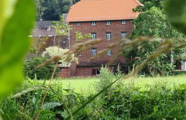 Apartment auf dem Hof einer historischen Mühle - Photo 6