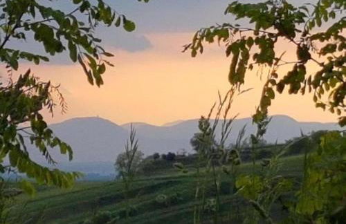 Ferienwohnung in Bischoffingen - Foto 64