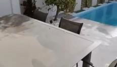 Casinha do sul- Private pool - Foto 2