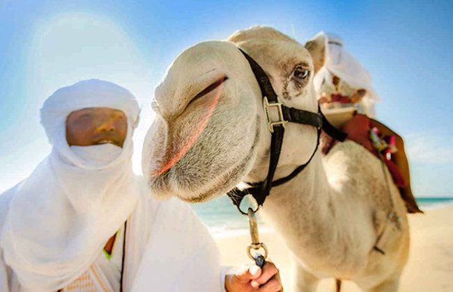 Paseo en camello por el desierto de Los Cabos - Foto 4