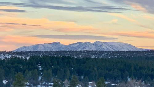 Elk Rim 1140 Pine - Foto 3