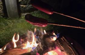 Tiny House mit Saunafass und Garten - Foto 41