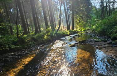 Fewo Kleine Auszeit - Foto 54