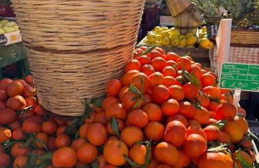 Arancello Apartment - Foto 17