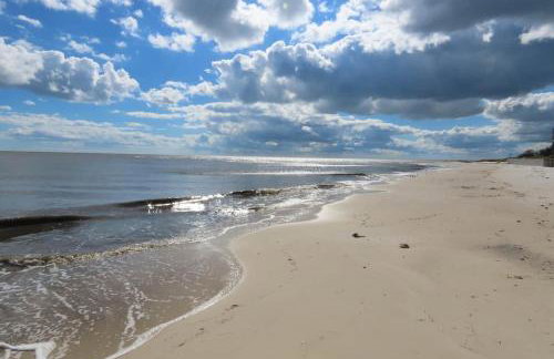 For the Birds- on the water - Foto 9