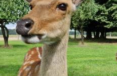 Gutshaus Pinnow - Foto 41