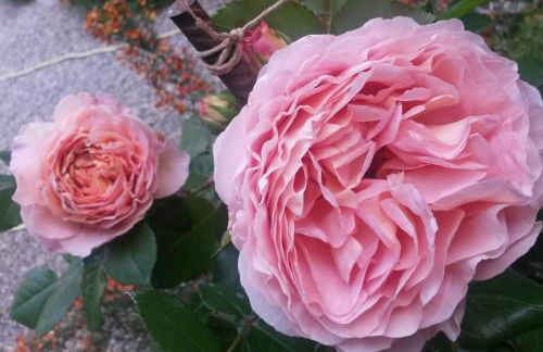 LuNesco alloggio DiVino, Chambre d'amis - Foto 19