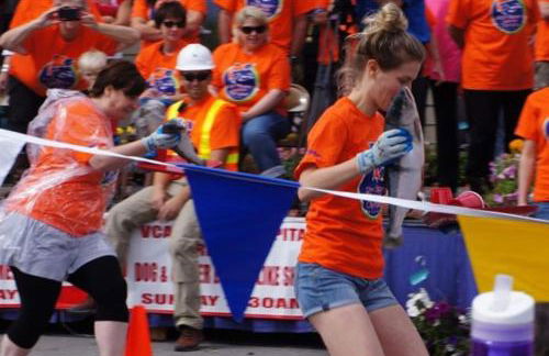 New-Game Room-Nearby Lake-Airport-Family-Bear Haus - Photo 20