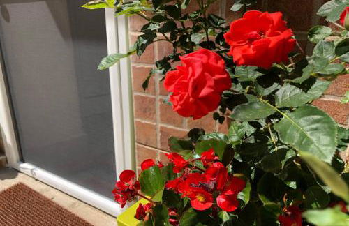 House GabriDora - Foto 19