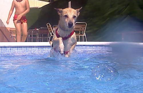 Casas Rurales de Vicorto - Foto 42