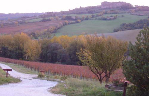 Agriturismo Cioccoleta - Foto 49