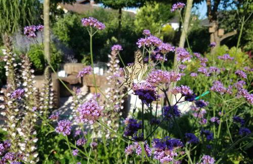 Webergarten - Foto 39