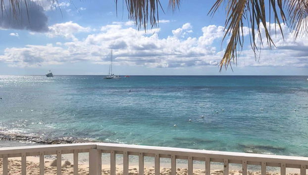 Catalina Island & Chavon River Day Trip - Foto 3