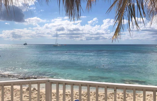 Catalina Island & Chavon River Day Trip - Foto 3