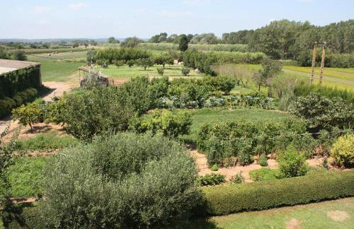 Mas Puig Roig - Foto 43