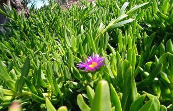 Nafplio Lodge - Foto 57