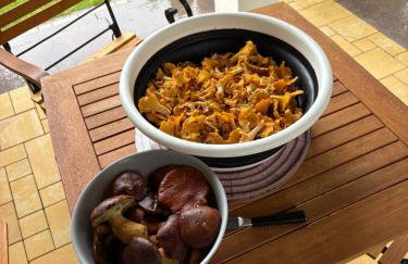 Dom Przy Lesie na Warmii - Foto 34