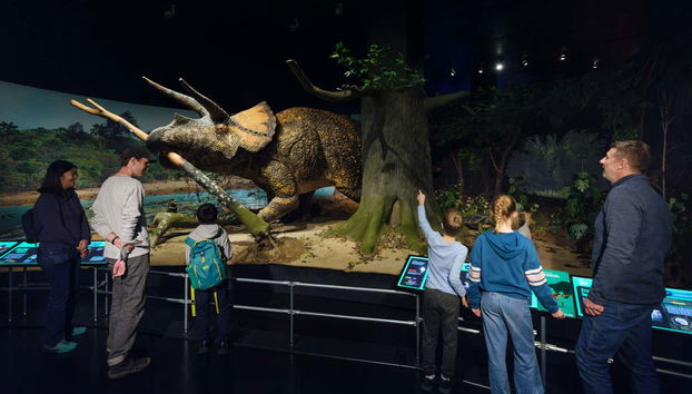 Exposición de la era de los dinosaurios