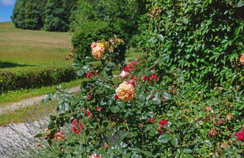 Gutshof an der Alten Linde - Foto 22