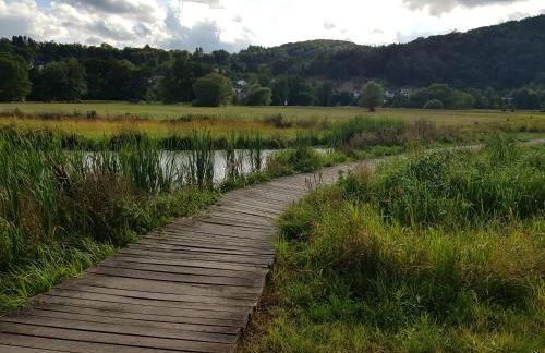 Wohnen im Springerhof - Foto 59