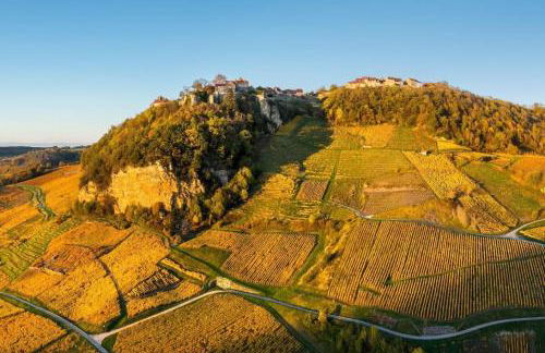 L'Orgelétaine : Grande Maison au milieu des Lacs du Jura - Foto 33