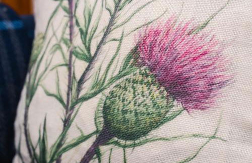 Stylish Garden Flat Near Loch Ness - Foto 15