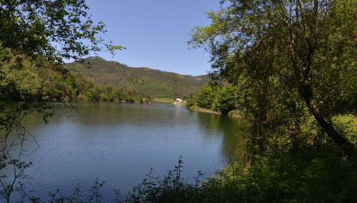 Casa do Vouga - Foto 4